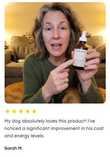 Colapaw liquid collagen for dogs