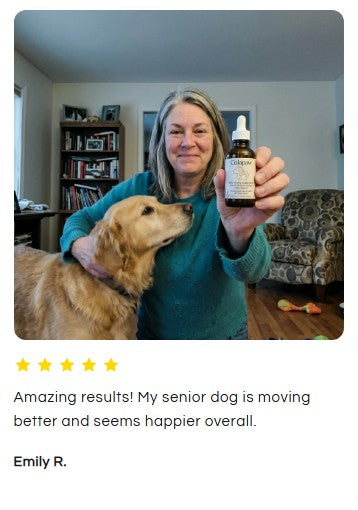 Colapaw liquid collagen for dogs