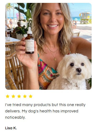 Colapaw liquid collagen for dogs