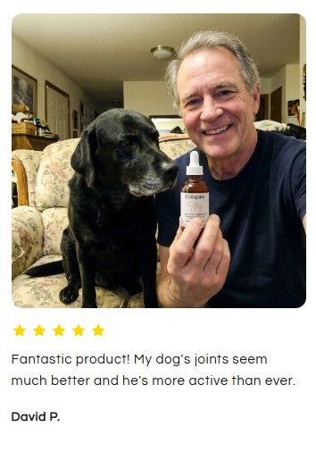 Colapaw liquid collagen for dogs